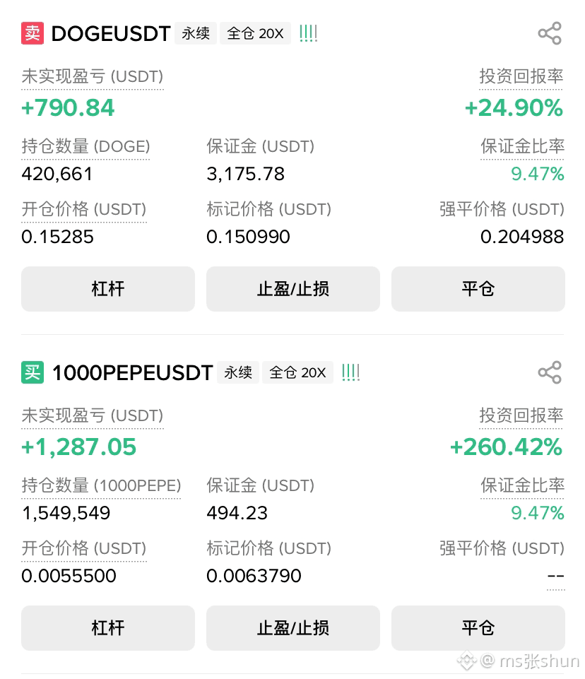 DOGE No matter what coin you have, once it goes up, I just | ms张shun on  Binance Square