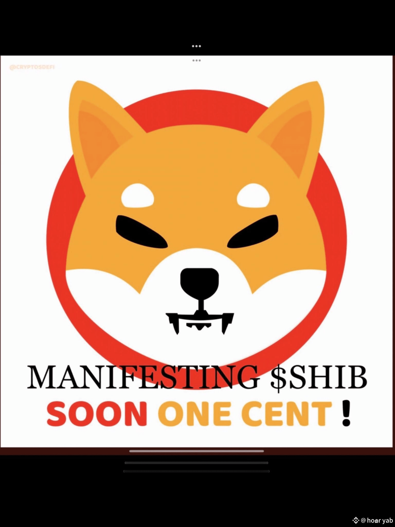 Latest #shibainuetf News, Opinions and Feed Today | Binance Square