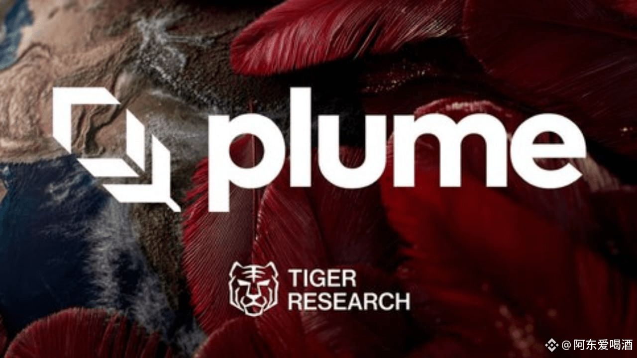 I spent three months researching the RWA track and ended up investing in  Plume | 阿东爱喝酒 on Binance Square