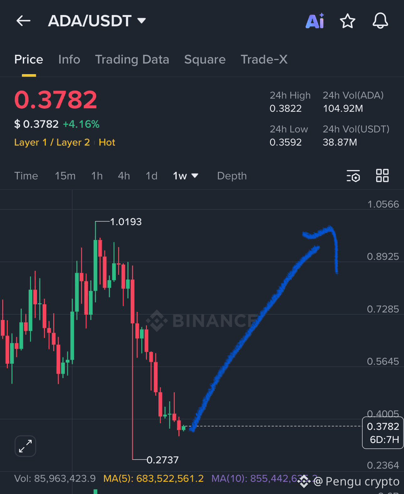 ADA #cardano 計劃在0.25-0.4$之間開始反轉，然後在長期持有時可能達到1-1.2$ | 幣安廣場上的Pengu crypto