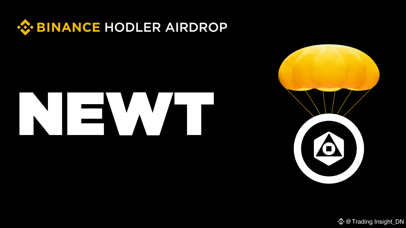 What is Newton Protocol (NEWT)? How to receive Airdrop by holding BNB on  HODLer Airdrops | Trading Insight_DN on Binance Square