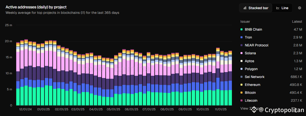 Activity is slowing down across major L1 chains
