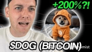 Is a Dog (Bitcoin) Rally Coming? Here's What Smart Traders Are Buying Next