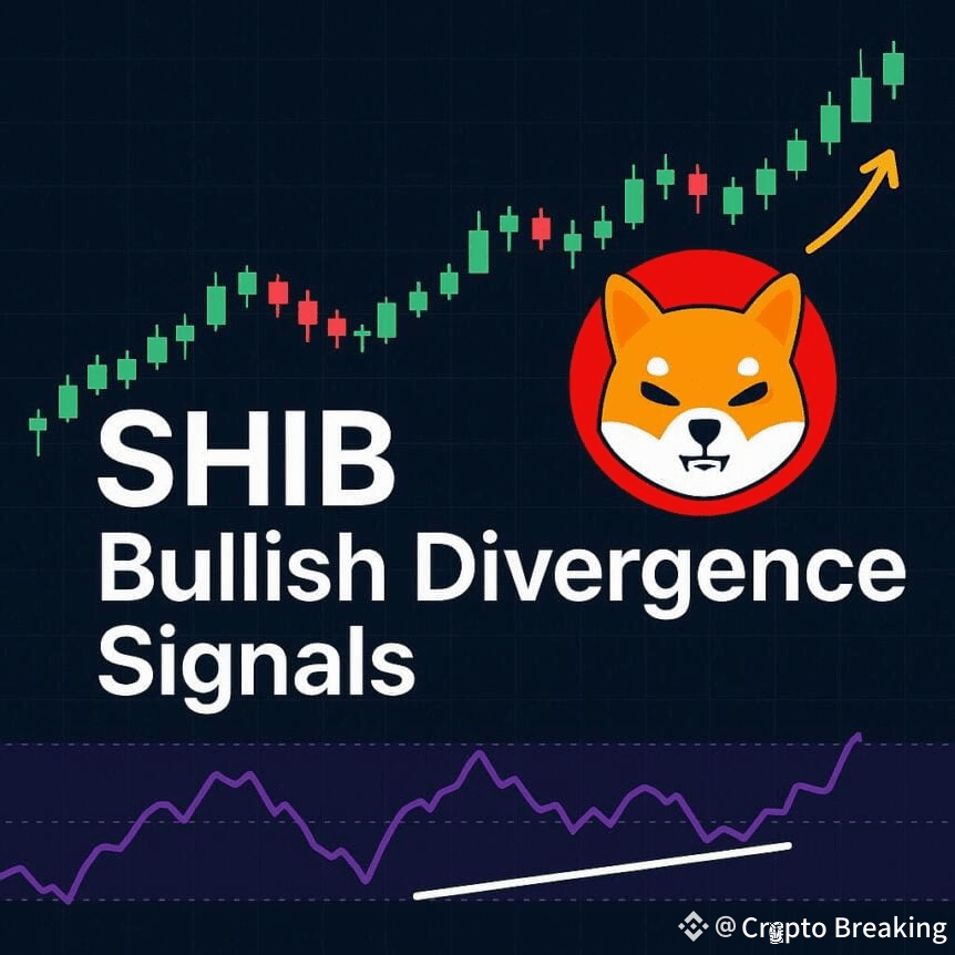Shib Bullish Divergence Signals Massive 234% Recovery Toward $0.000032