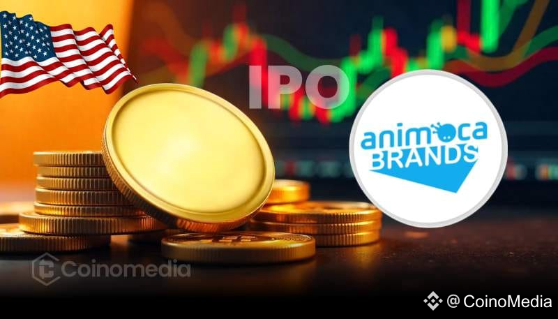 Animoca Brands Eyes New York IPO Amid Crypto Push