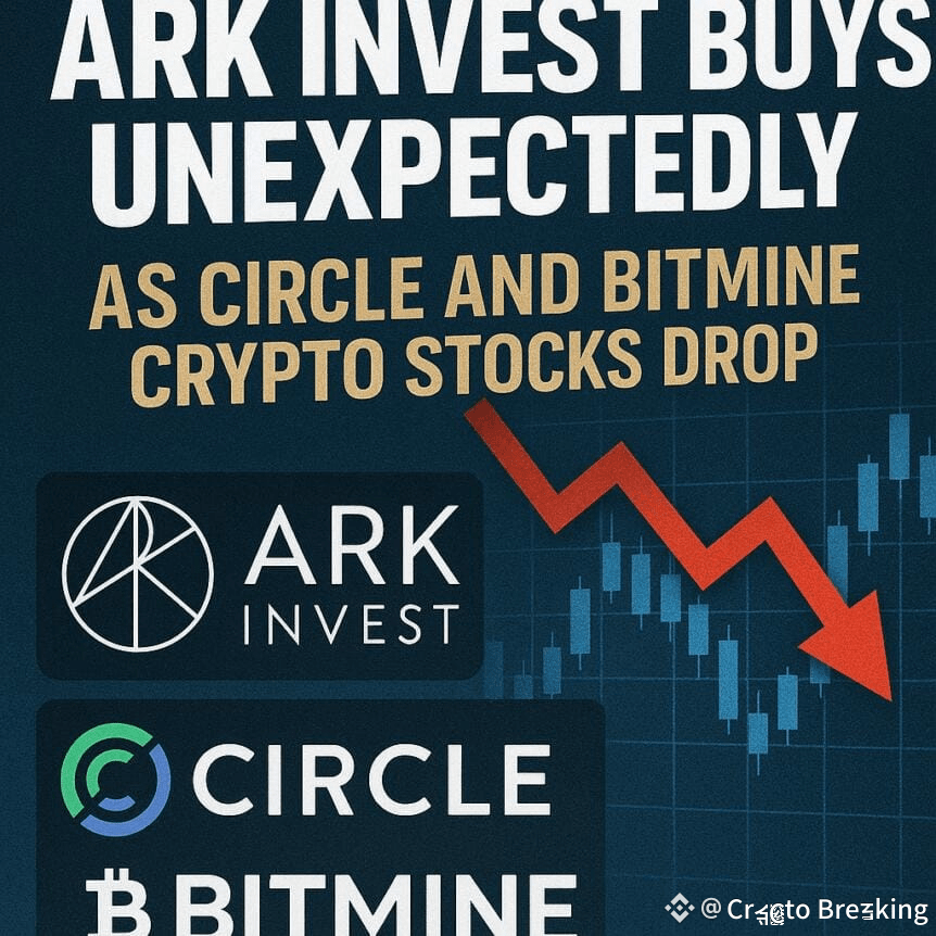 Ark Invest Buys Unexpectedly As Circle And Bitmine Crypto Stocks Drop