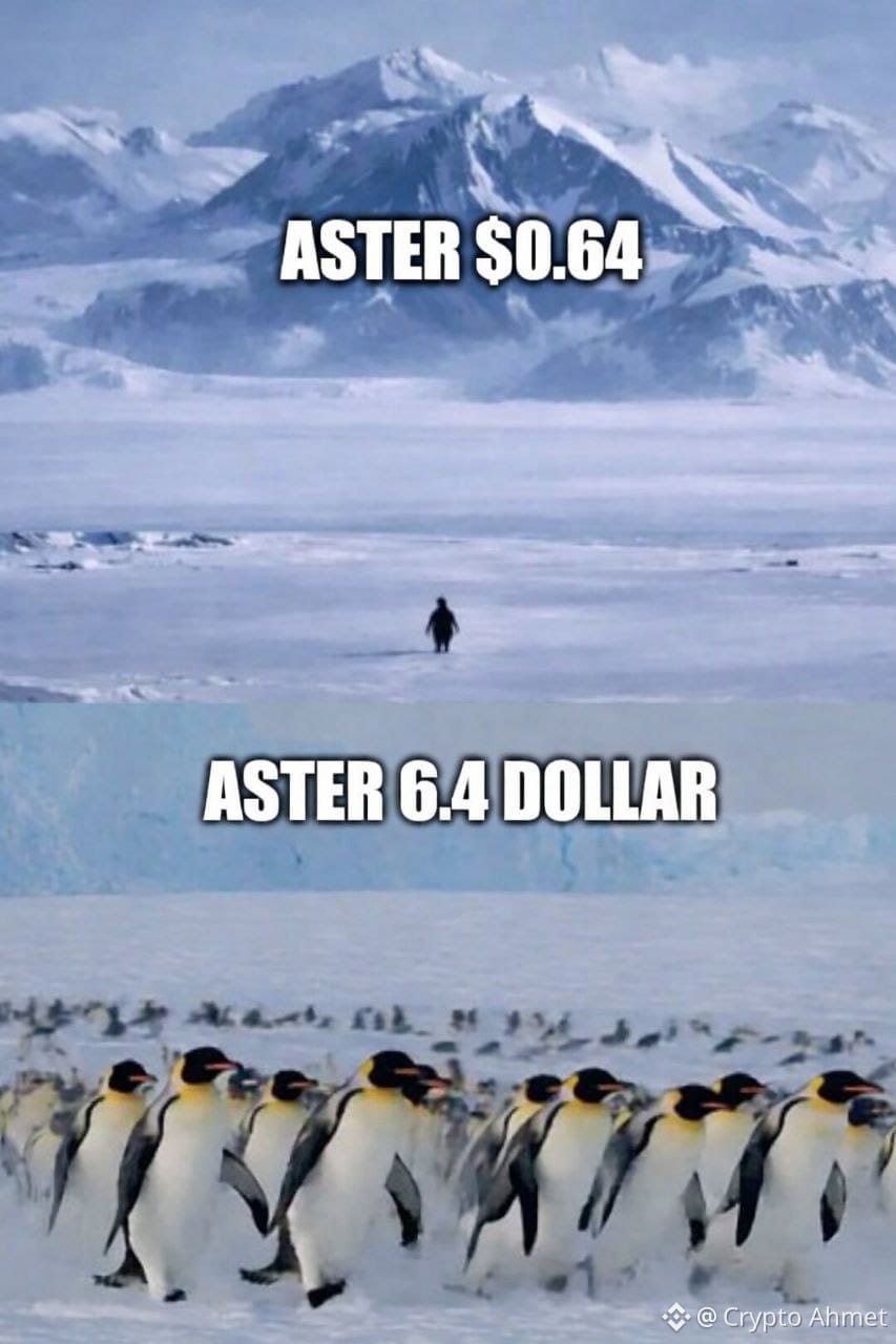 Buy Aster - Easy Guide to Buying ASTER Now