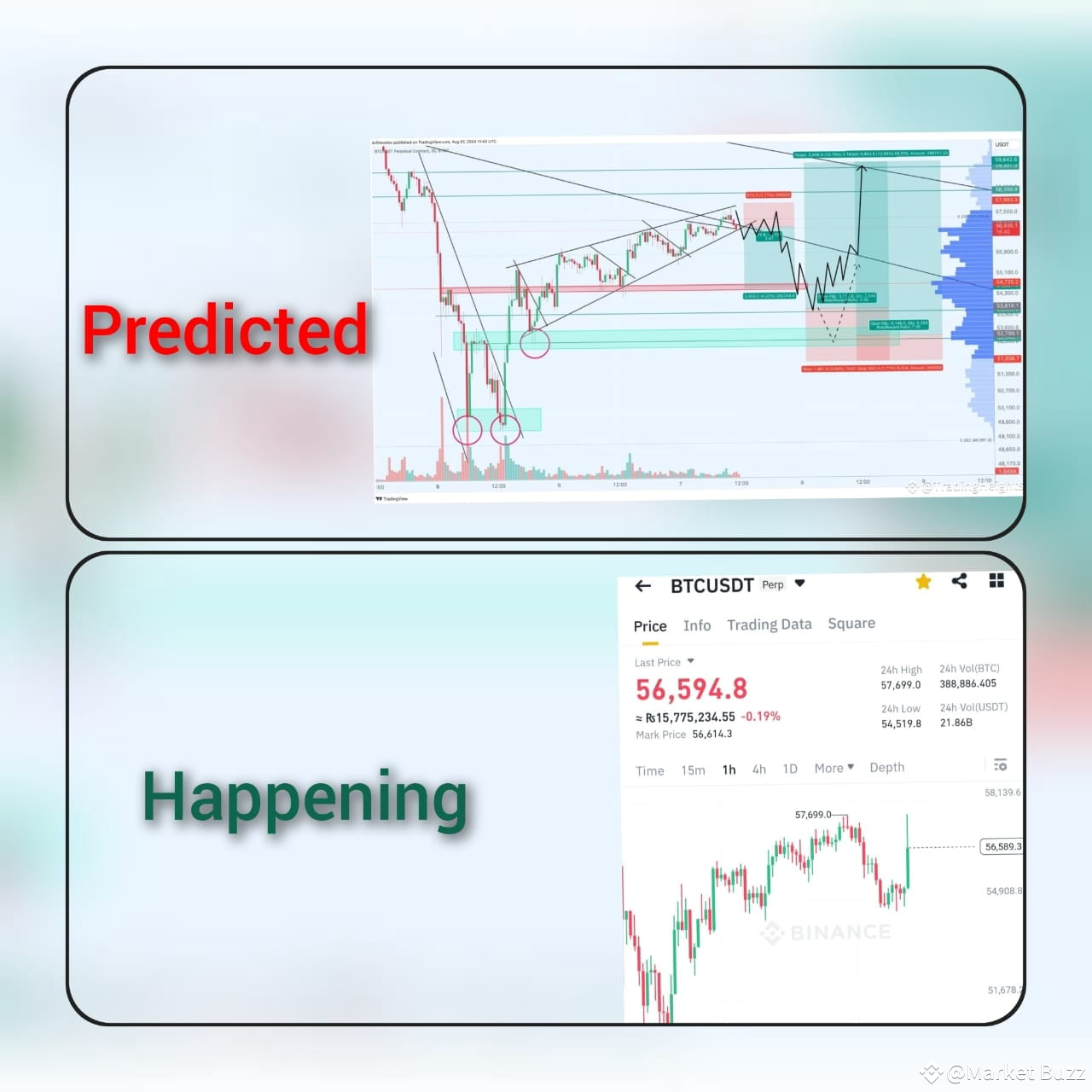 what I have predicted and what actually happened .btc Market Buzz on