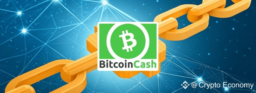What is Bitcoin Cash (BCH)?