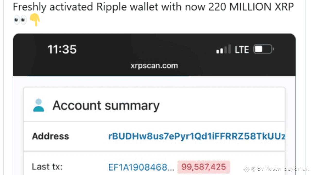 Ripple Wallet Receives 220M XRP Shortly After Activation, Sparking  Speculation | BeMaster BuySmart on Binance Square