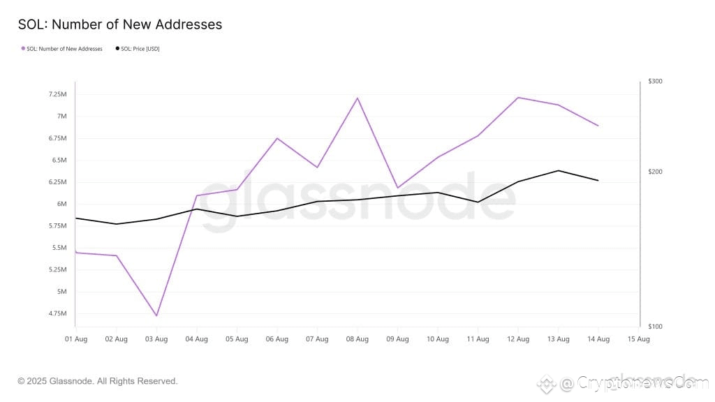 Number of new Solana addresses. Source: Glassnode.