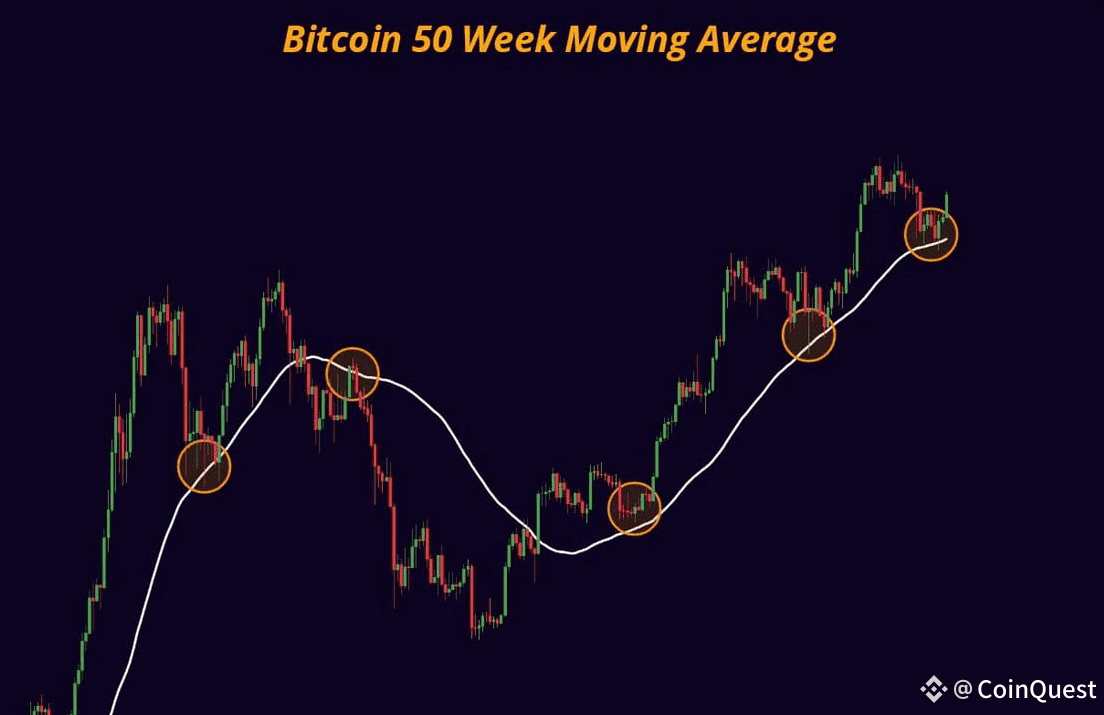 BTC is Bouncing Off the 50W MA – Bull Market Still | CoinQuest on Binance  Square