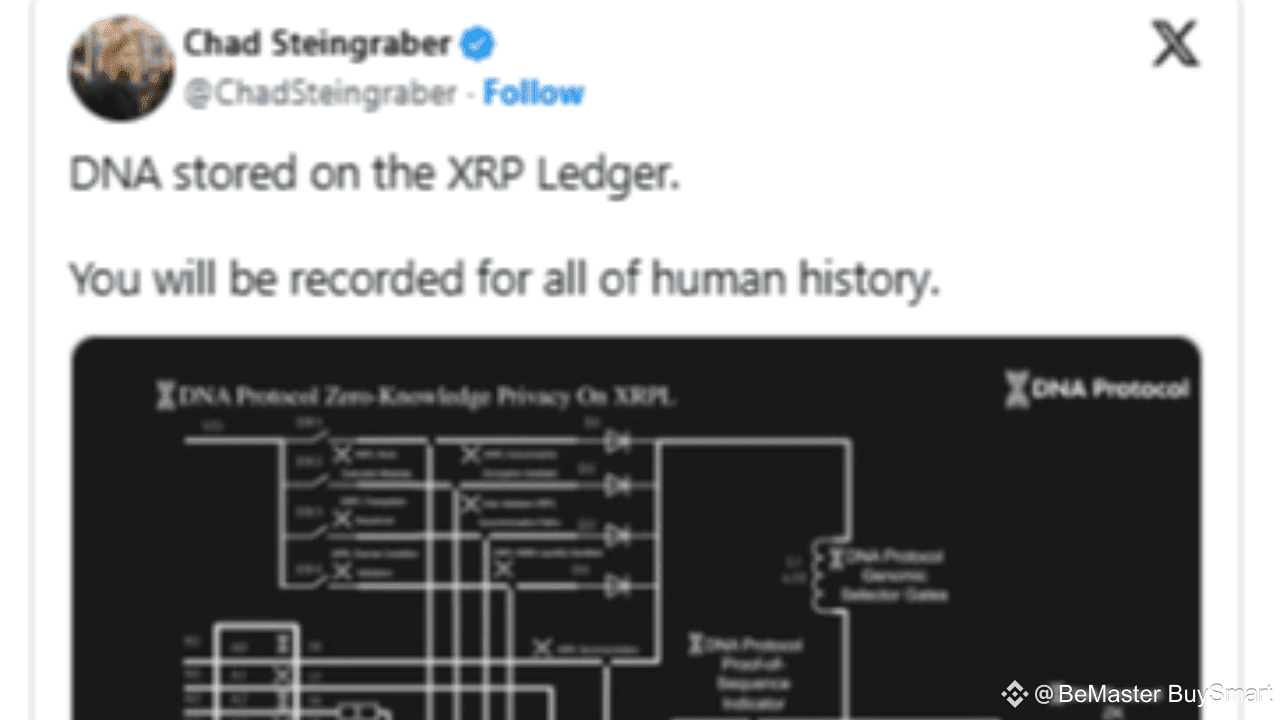 DNA Stored on the XRPL But XRP Army Is Skeptical | BeMaster BuySmart on  Binance Square