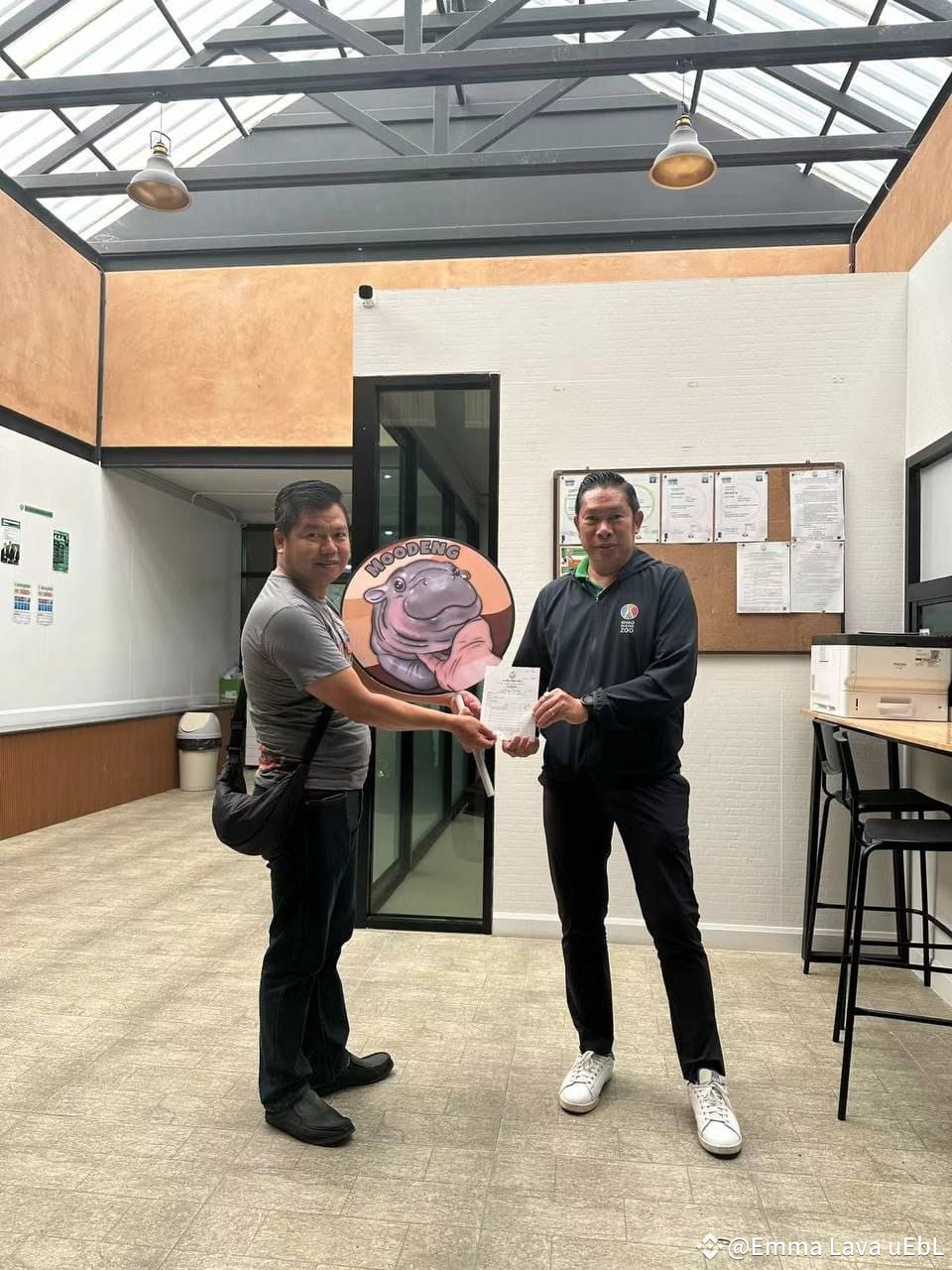 Latest #moodeng News, Opinions and Feed Today | Binance Square