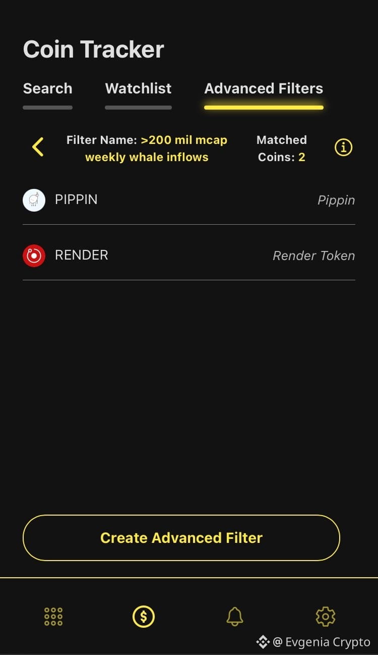 BETTING MILLIONS: THE WHALE PLAYS 