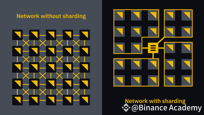 jaringan tanpa sharding vs jaringan dengan sharding