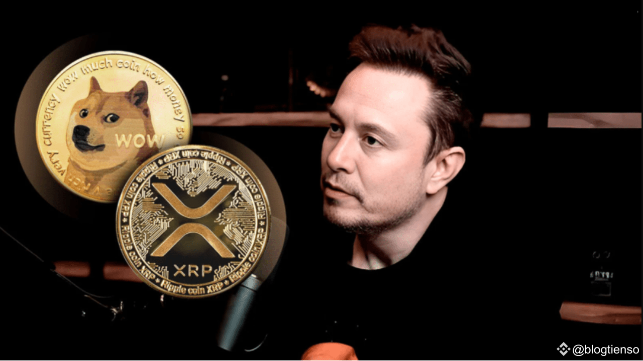 Rumors About the Partnership Between Ripple and Elon Musk: Distinguishing  Fact from Fiction | blogtienso on Binance Square