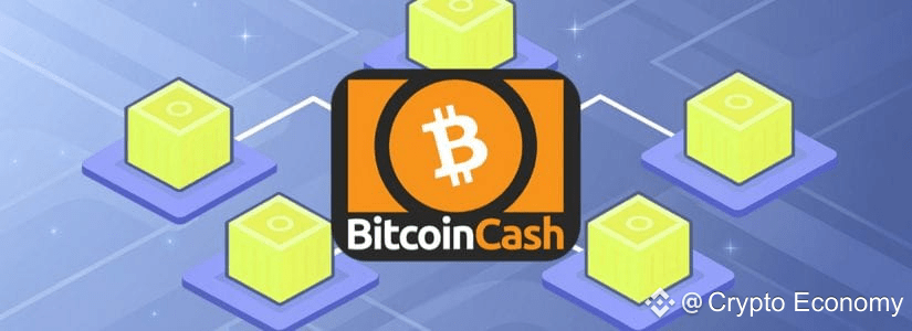How Does Bitcoin Cash Work?