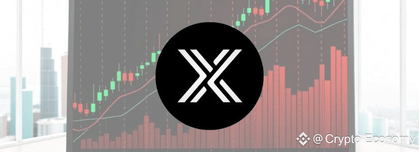 What is the IMX Token?