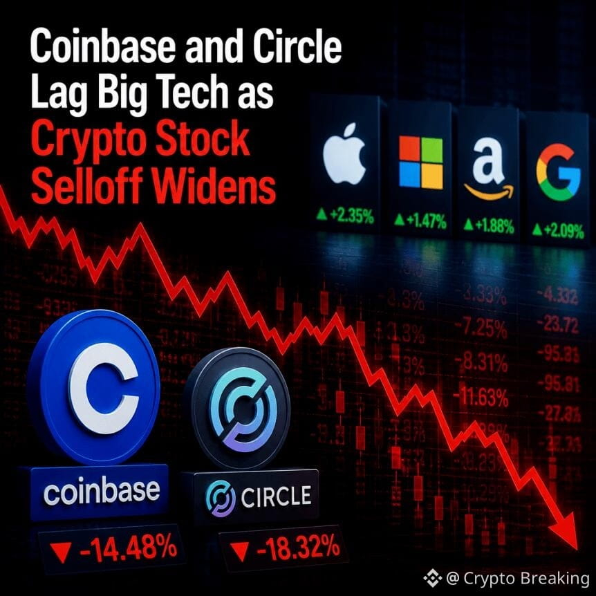 Coinbase And Circle Lag Big Tech As Crypto Stock Selloff Widens
