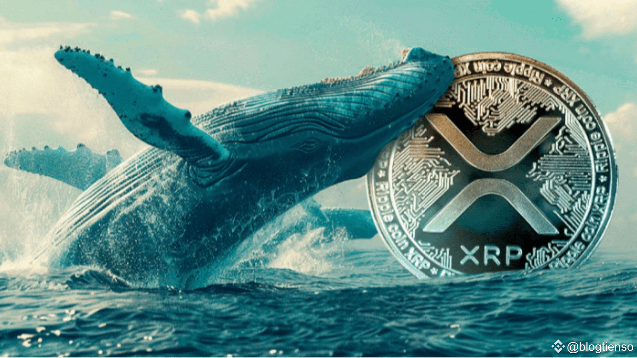 Whale Insider: XRP Is Preparing For Mega Pump, 100x-1000x Surge Coming |  blogtienso on Binance Square